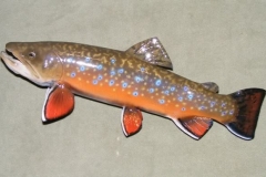 BrookTrout2