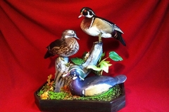 Wood Duck Pair